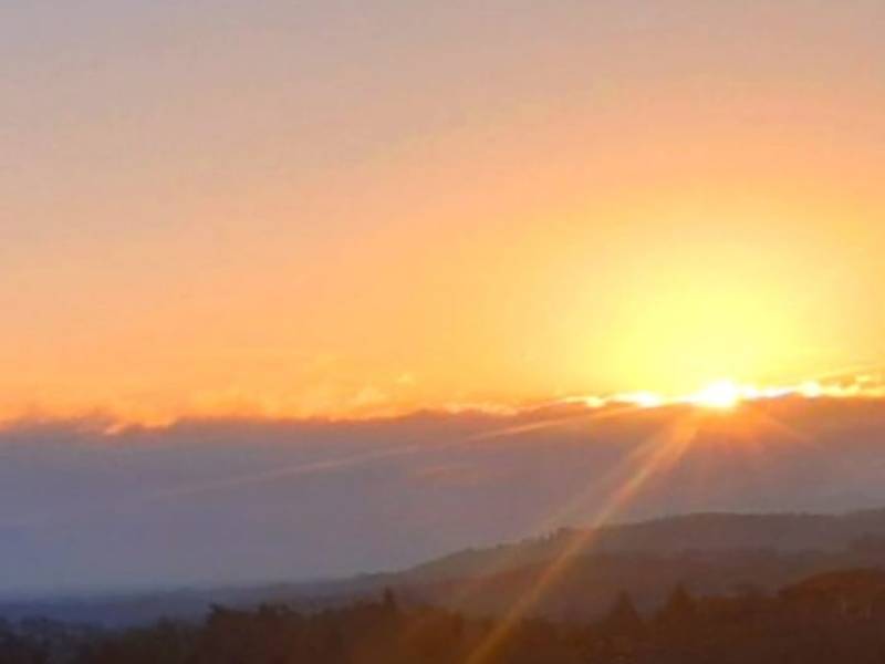 Istantanee di Vangelo